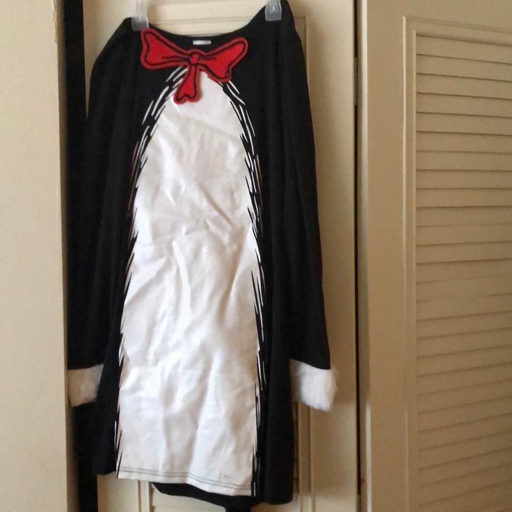 Dr.seuss cat in the hat